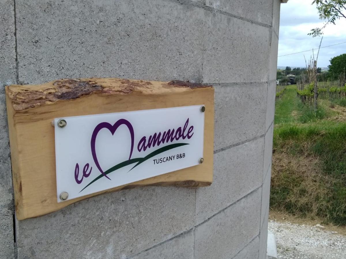 Le Mammole Bed & Breakfast San Miniato
