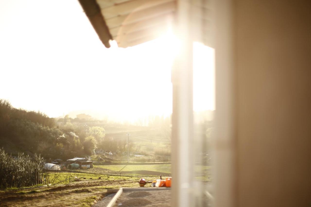 Bed & Breakfast Le Mammole San Miniato